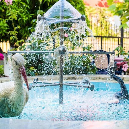 Elena Apartments كانالي المظهر الخارجي الصورة